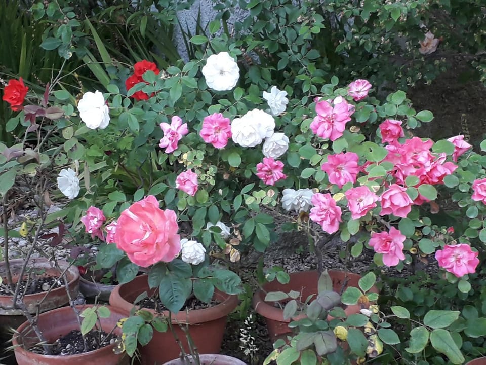 B&B Domo De Pedra Bed and Breakfast in Sardinia
