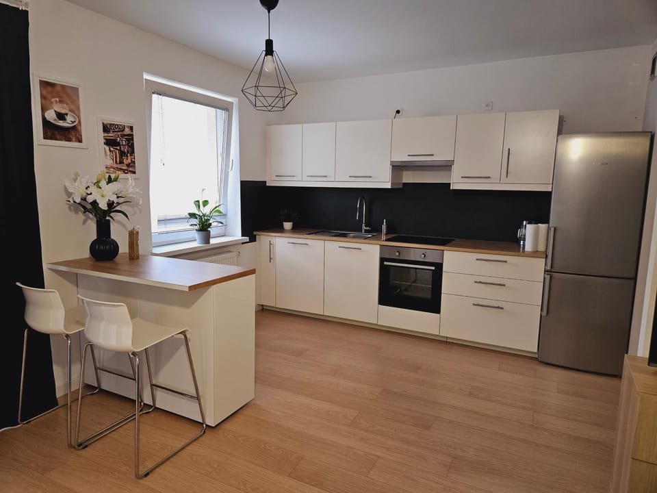 Kitchen or kitchenette, Dining area, dishwasher, stove