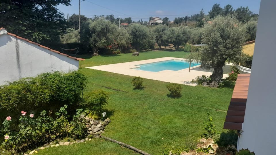 Garden, View (from property/room), Swimming pool