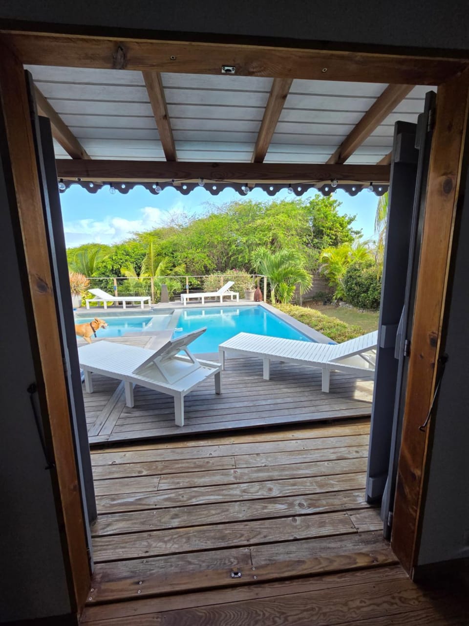 Natural landscape, View (from property/room), Bedroom, Pool view, Swimming pool, sunbed
