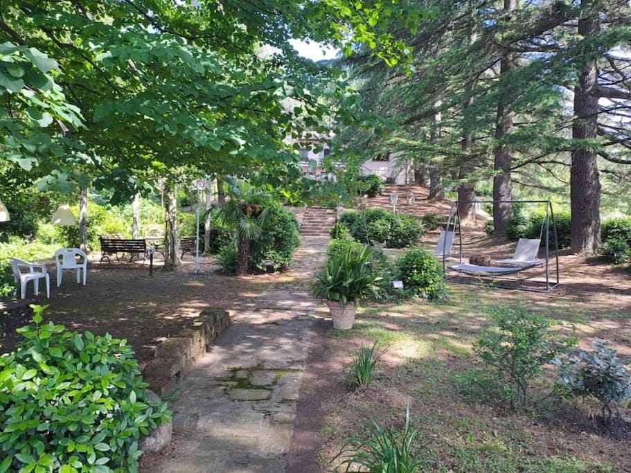 Natural landscape, Garden, Garden view
