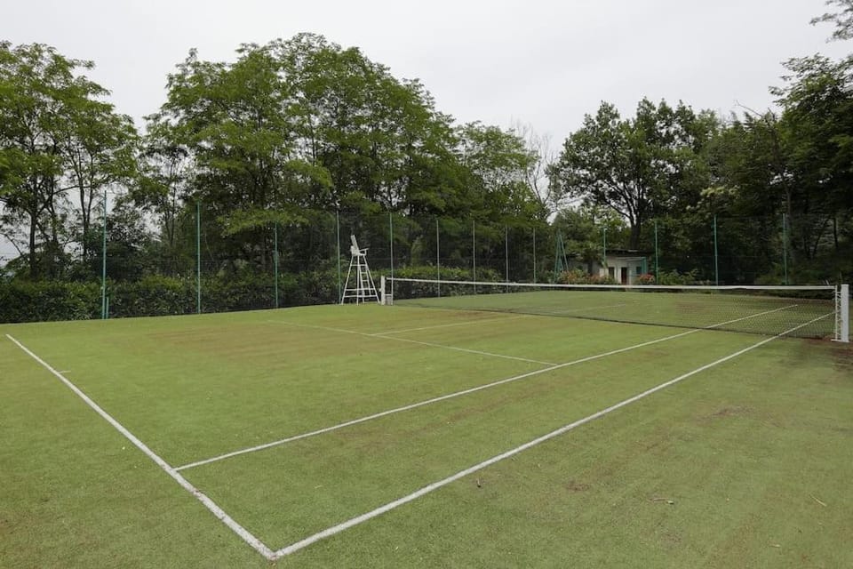 Tennis court