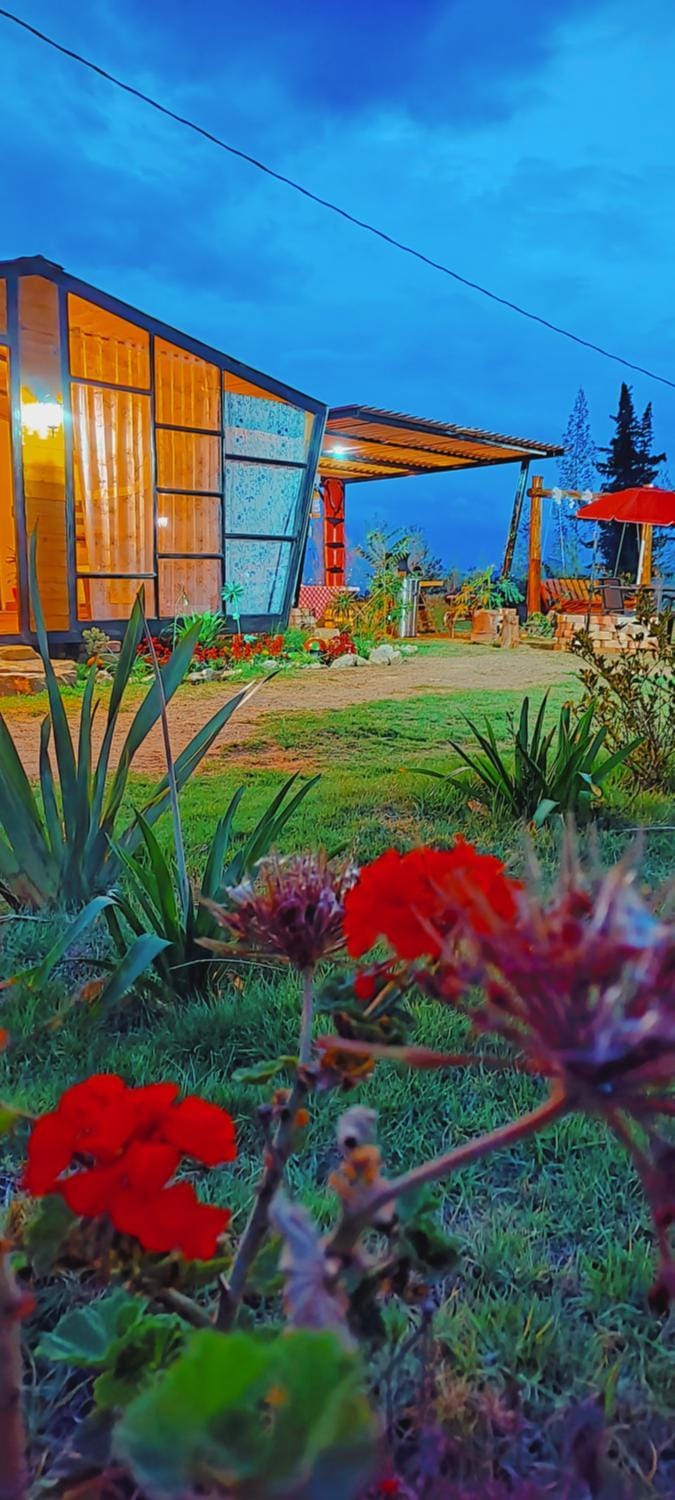 Garden view