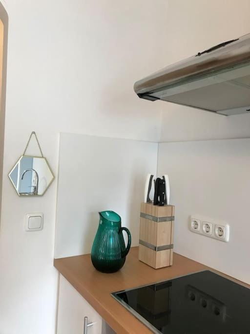 Wohnung neben dem Lkh und der Medizinischen Universität Apartment in Graz