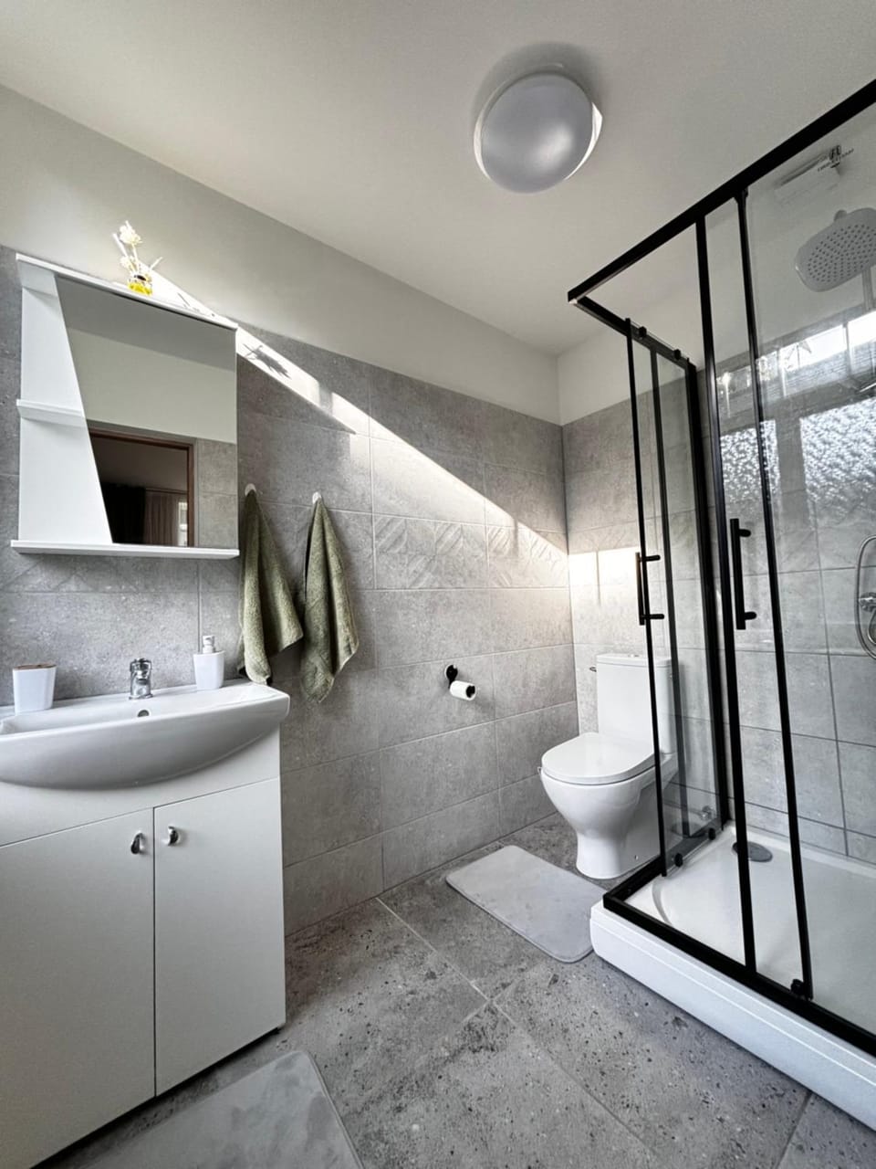 Shower, Toilet, Bathroom, towels