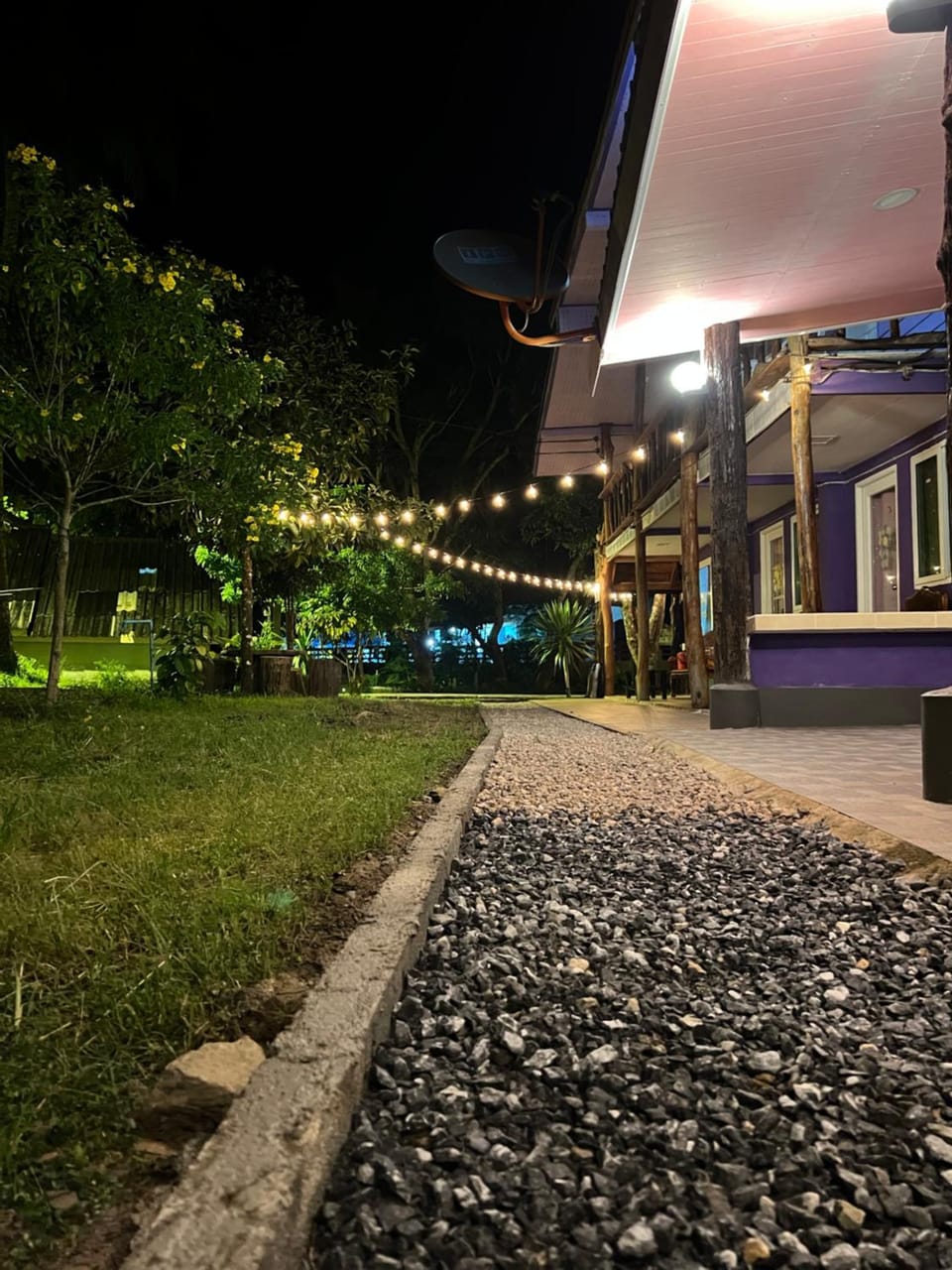 Property building, Night, Garden, Garden view