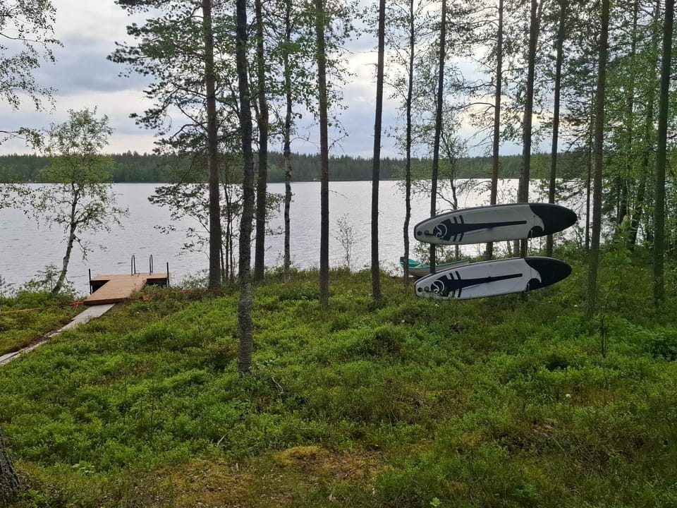 Lake view
