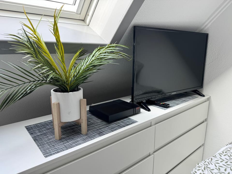 TV and multimedia