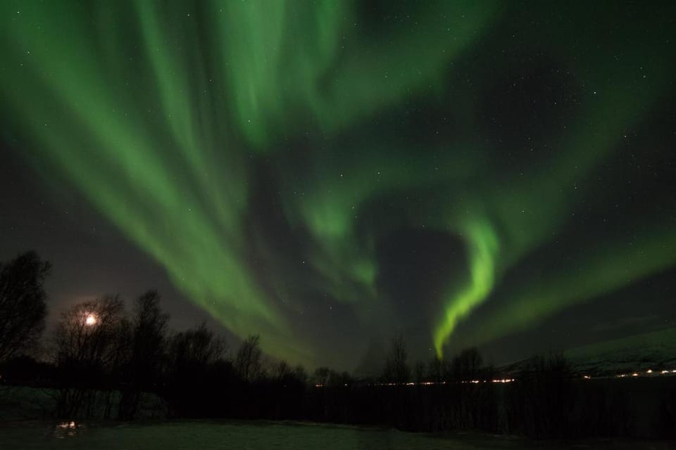 Night, Natural landscape