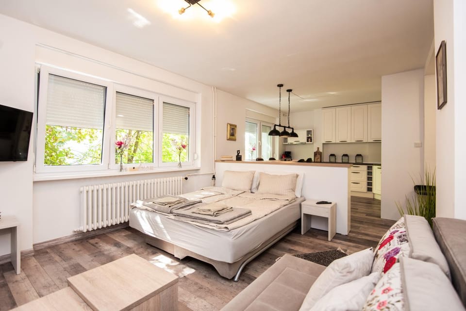 Bed, Kitchen or kitchenette, Living room, Photo of the whole room, Seating area
