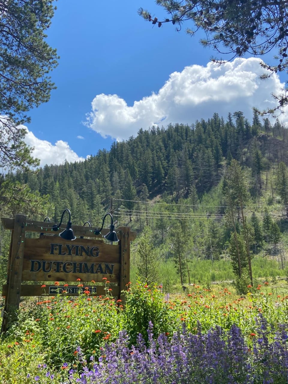 Flying Dutchman 1110 by SummitCove Lodging in Colorado House in Keystone