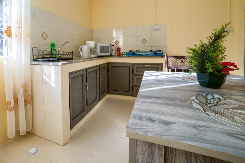 Kitchen or kitchenette, oven, stove