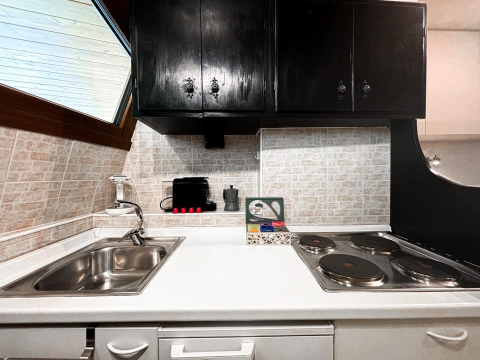 Kitchen or kitchenette, dishwasher, minibar, pet friendly, stove