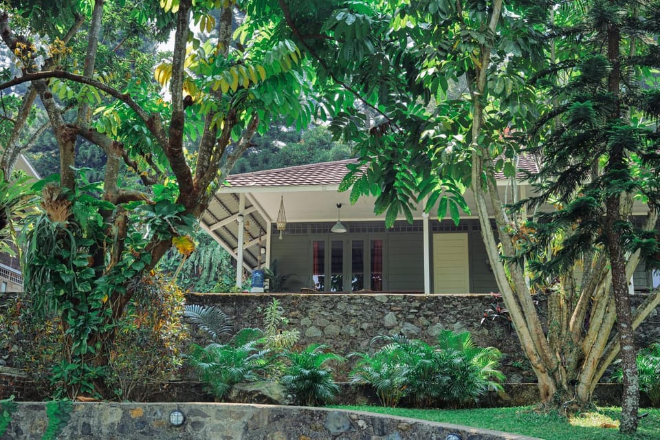 Property building, Garden, Garden view