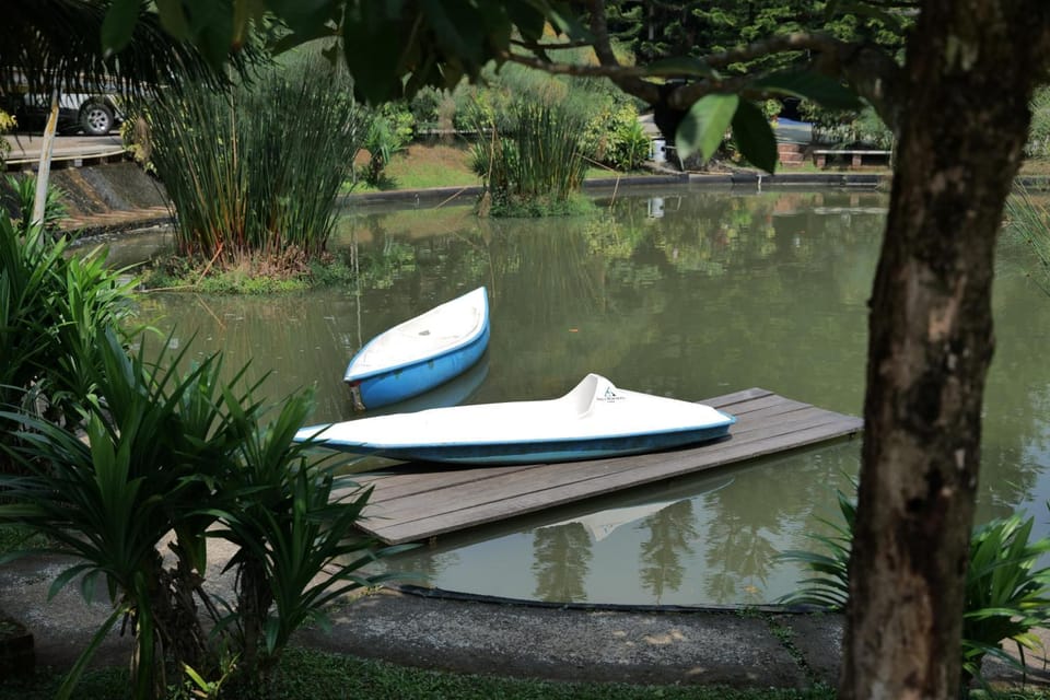 Natural landscape, Activities, Lake view, Sports