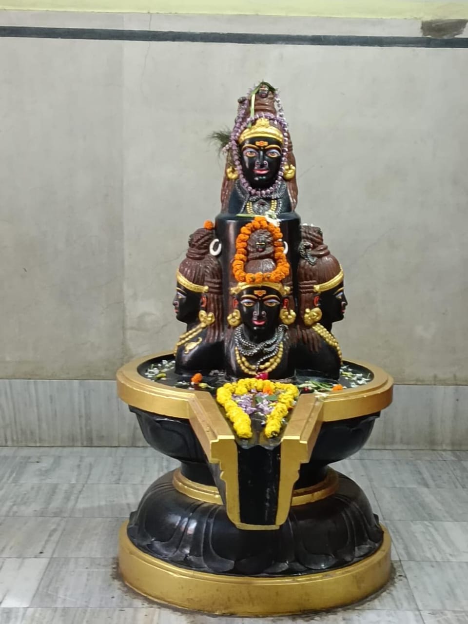Blissful Haven BH Homestay Vacation rental in Varanasi
