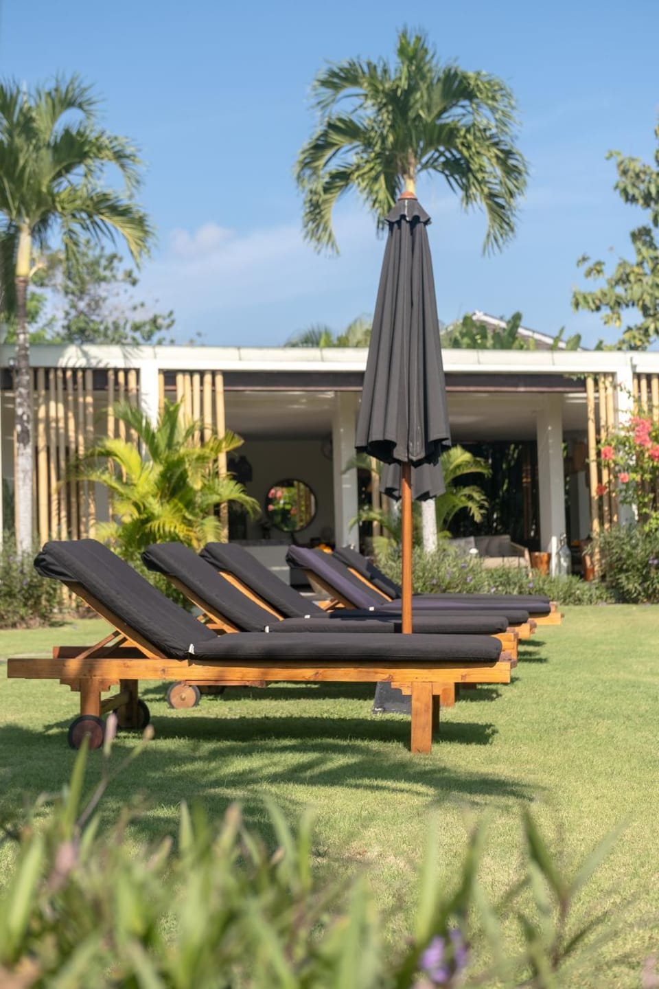 Garden, Garden view, sunbed