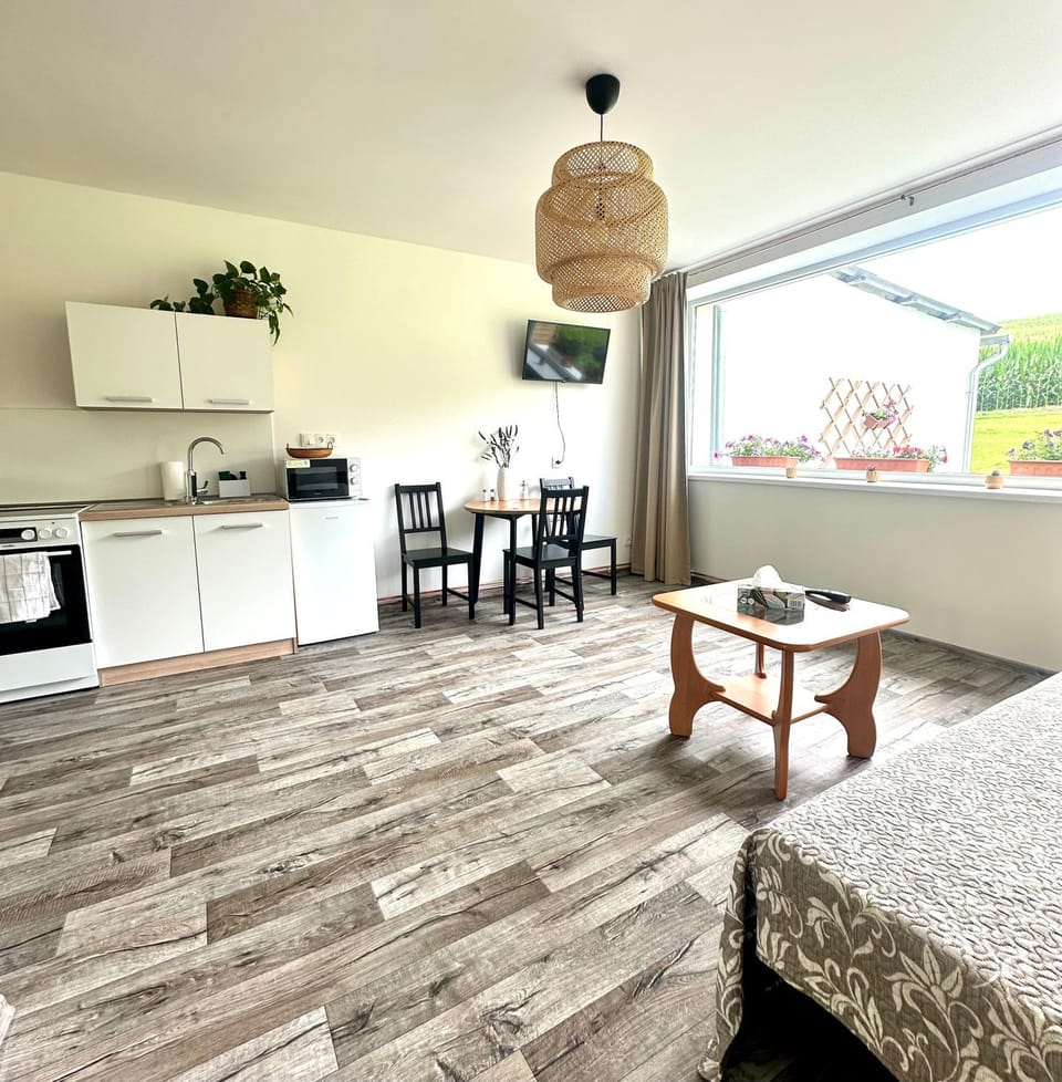 Kitchen or kitchenette, Seating area, Dining area, oven, stove