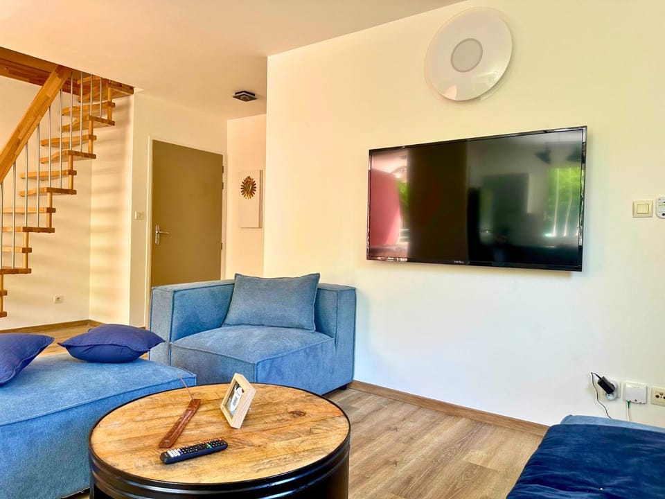 TV and multimedia