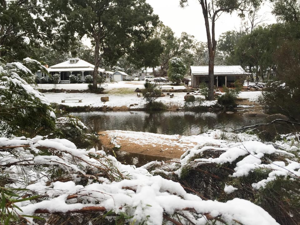 Winter, Garden view