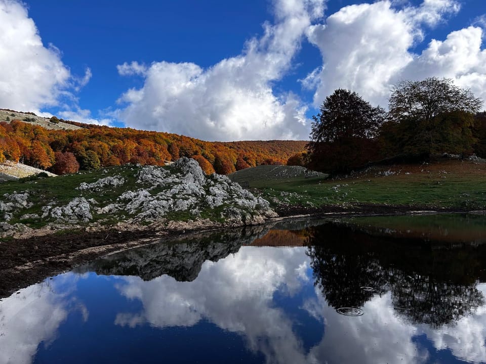 Natural landscape