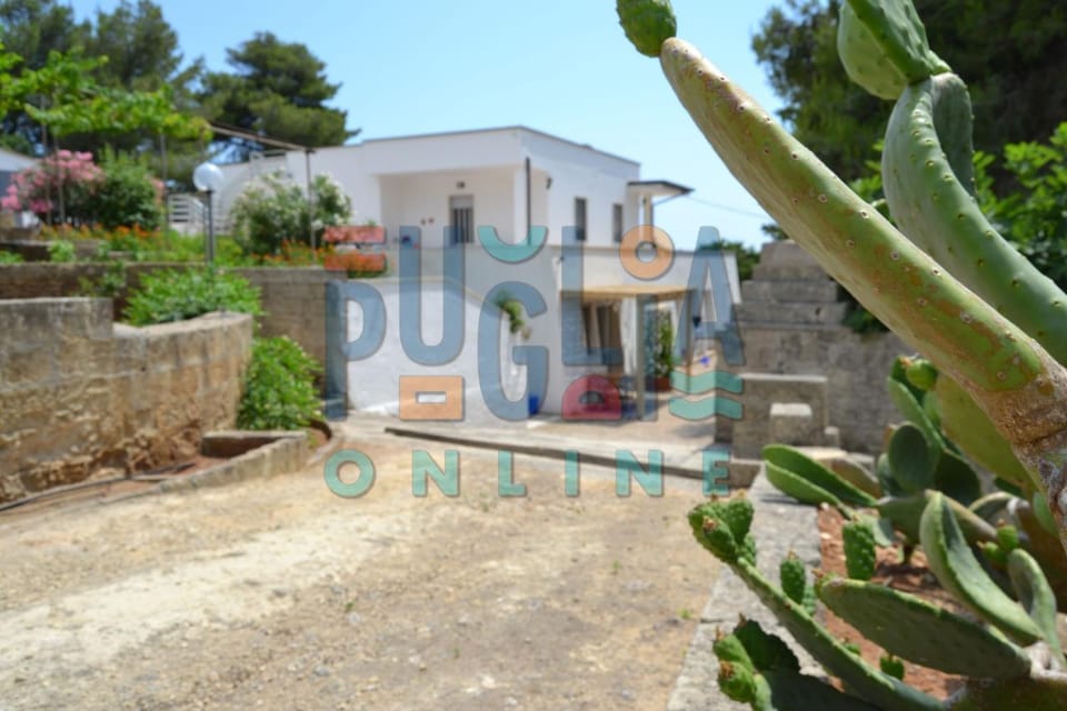 Property building, Spring, Day, Garden, Text overlay, Garden view