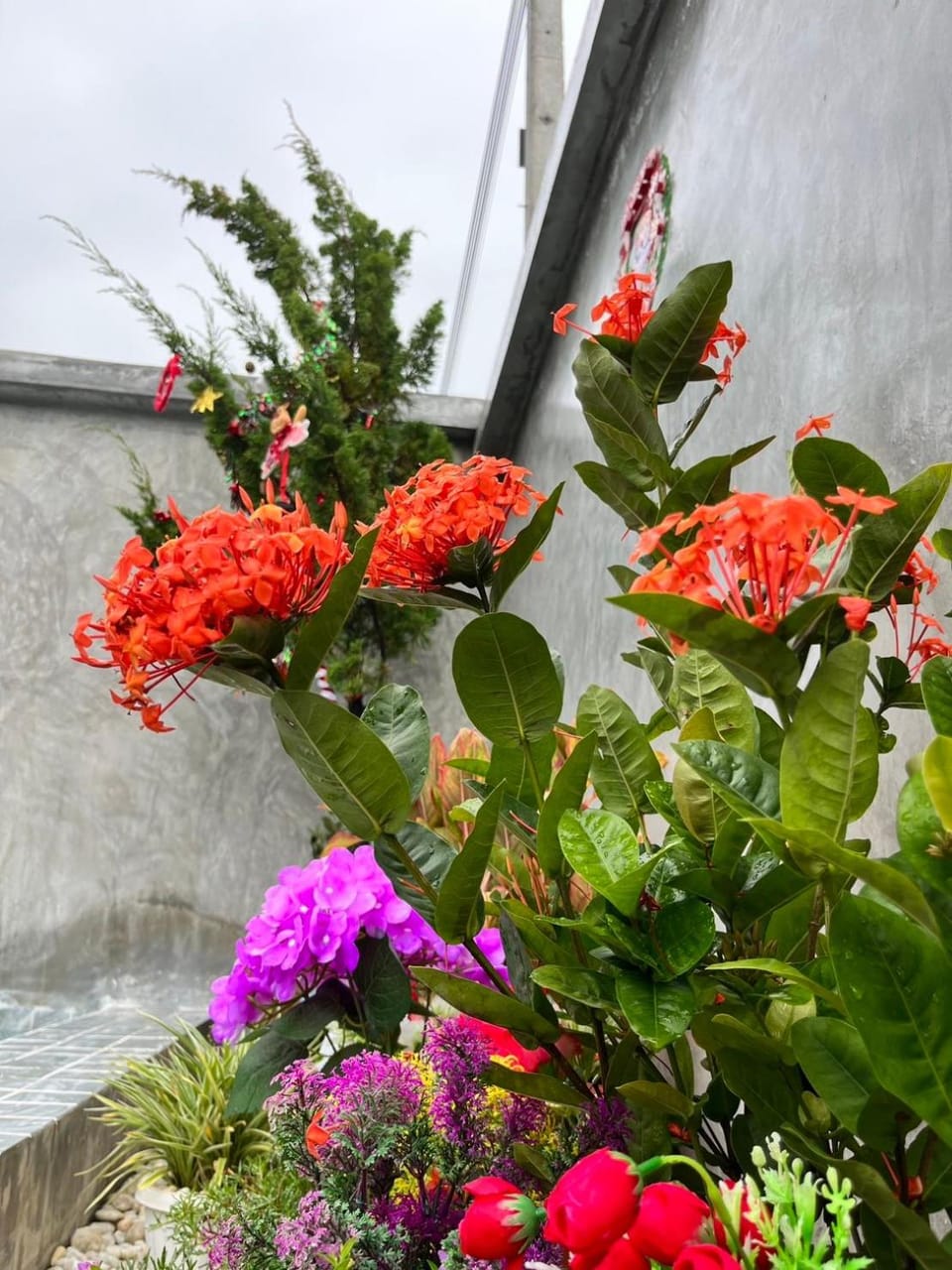 Spring, Day, Garden, Garden view