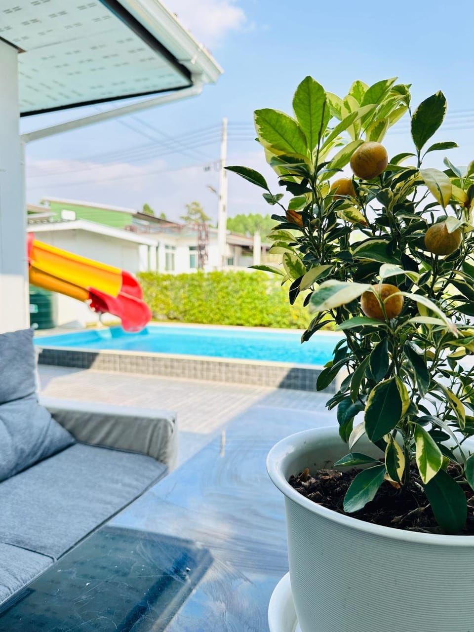 Day, Pool view