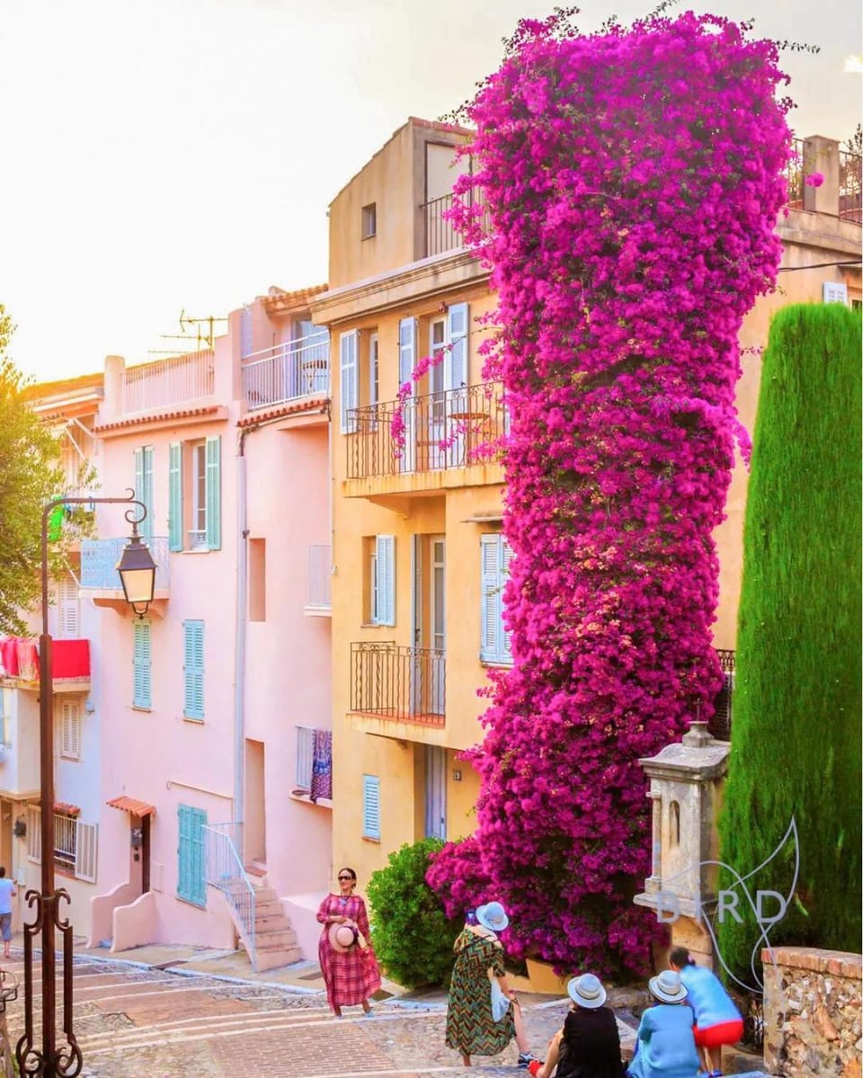 Spacious studio 4 minutes walk from the Beaches Apartment in Cannes