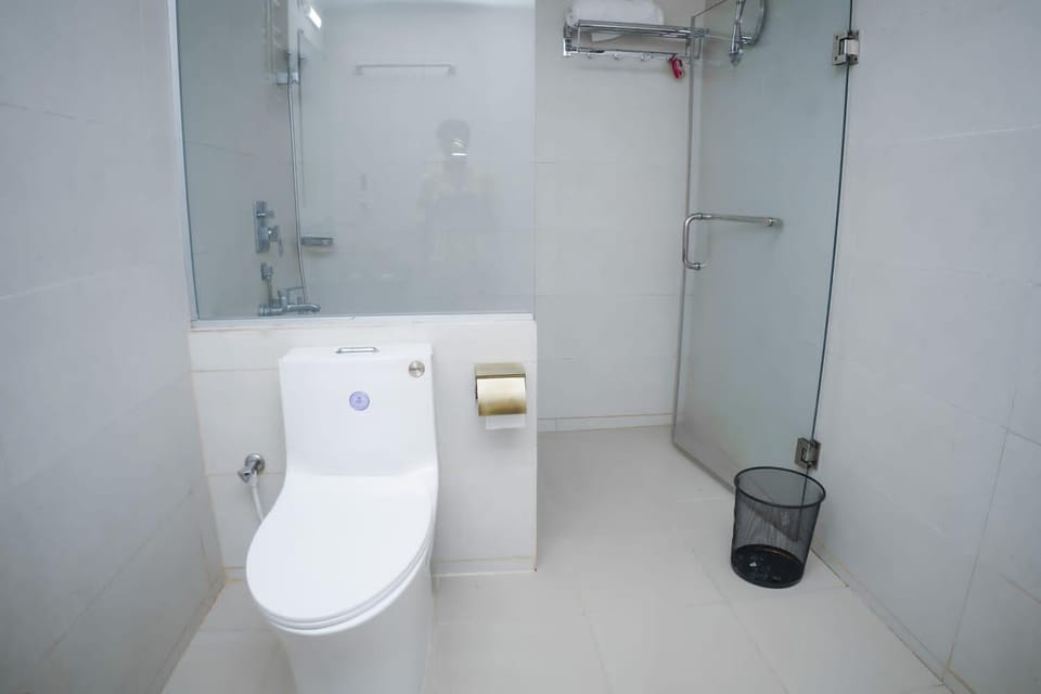 Shower, Toilet, Bathroom, bidet