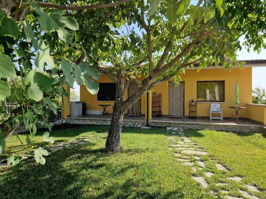 Property building, Garden, Garden, Garden view