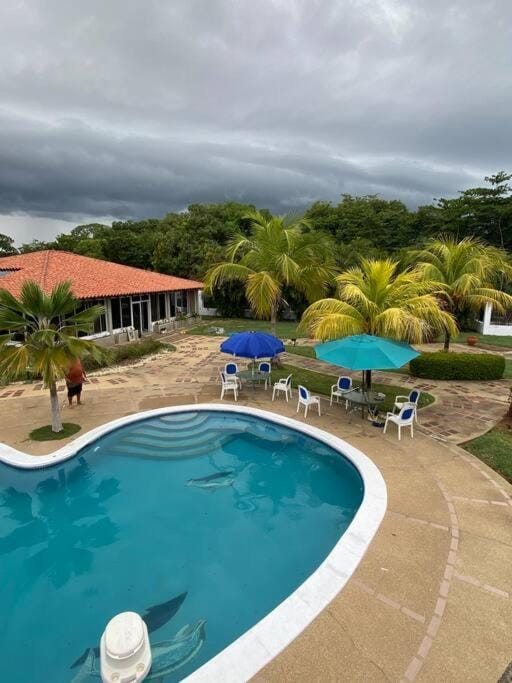 Garden, Garden view, Pool view, Swimming pool, sunbed