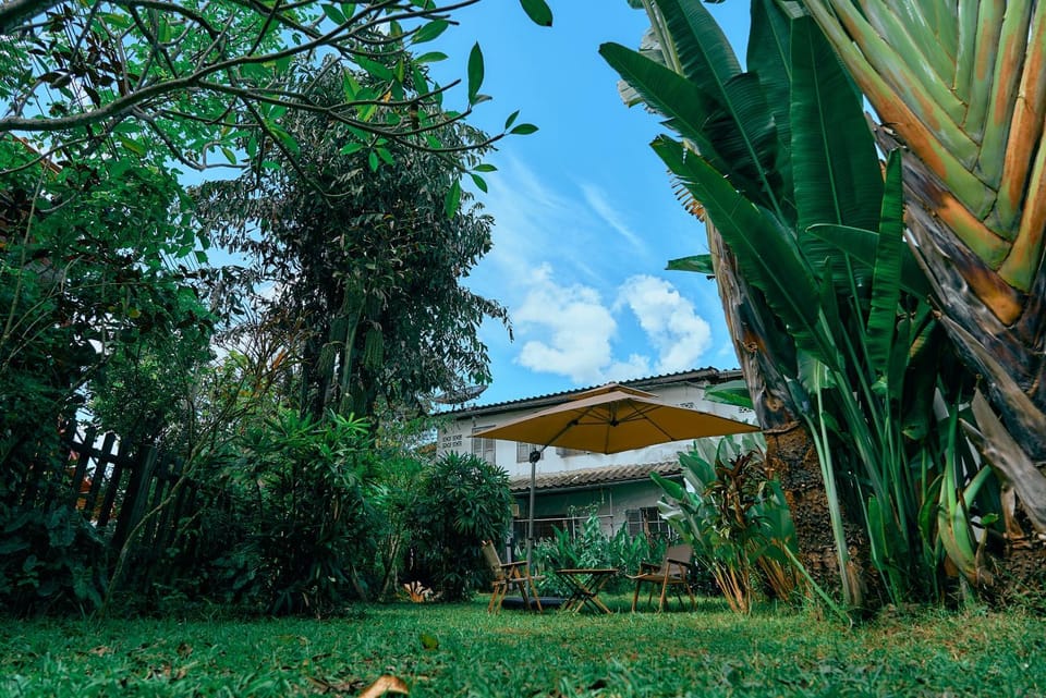 Garden view