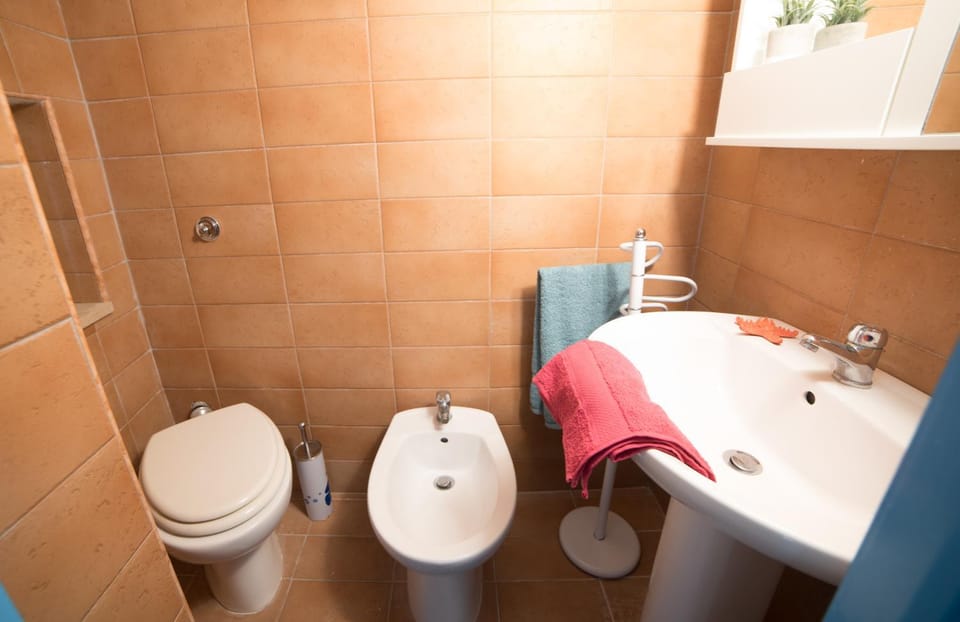 Shower, Toilet, Bathroom, bidet