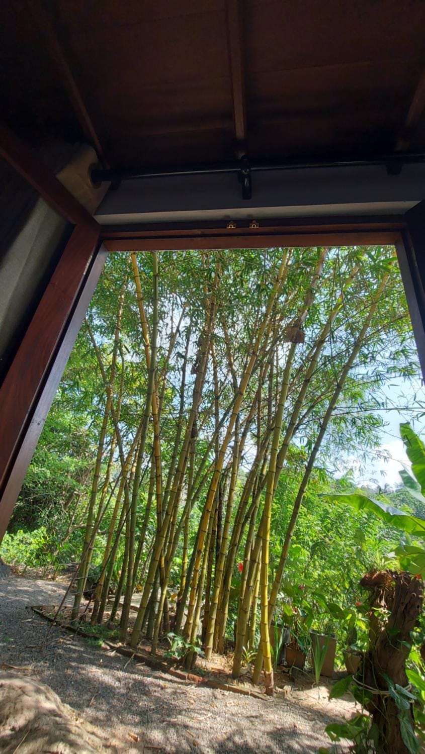 Jungle Lodge Apartment in Southern Province
