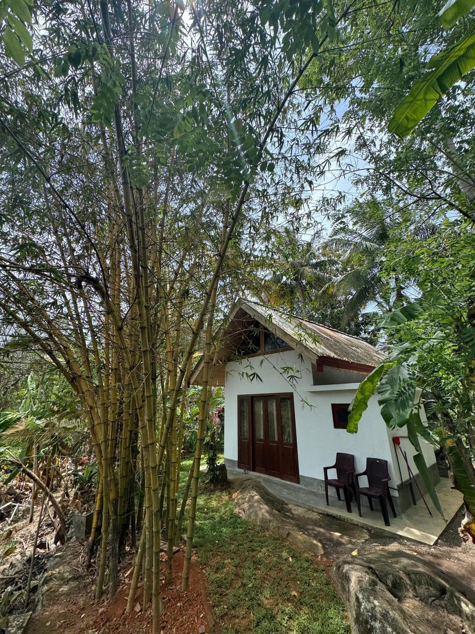Jungle Lodge Apartment in Southern Province