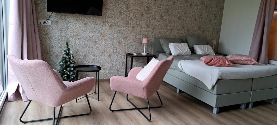 Bed, TV and multimedia, Seating area