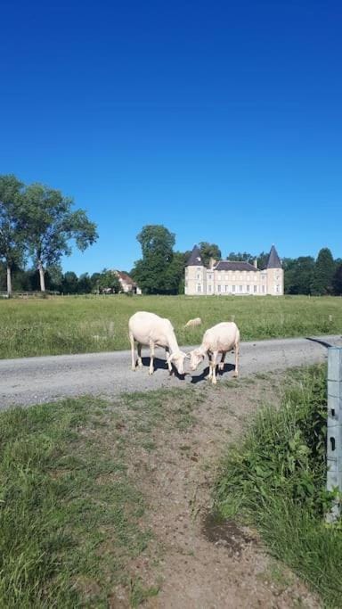 Gîte à la ferme, avec animaux, fromages et nature House in Bourgogne-Franche-Comté