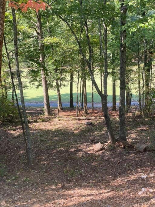 Helen, GA Bear Paw Haus 4 bdrm, sleeps 10, fire pit, pool table, on Golf course House in Helen