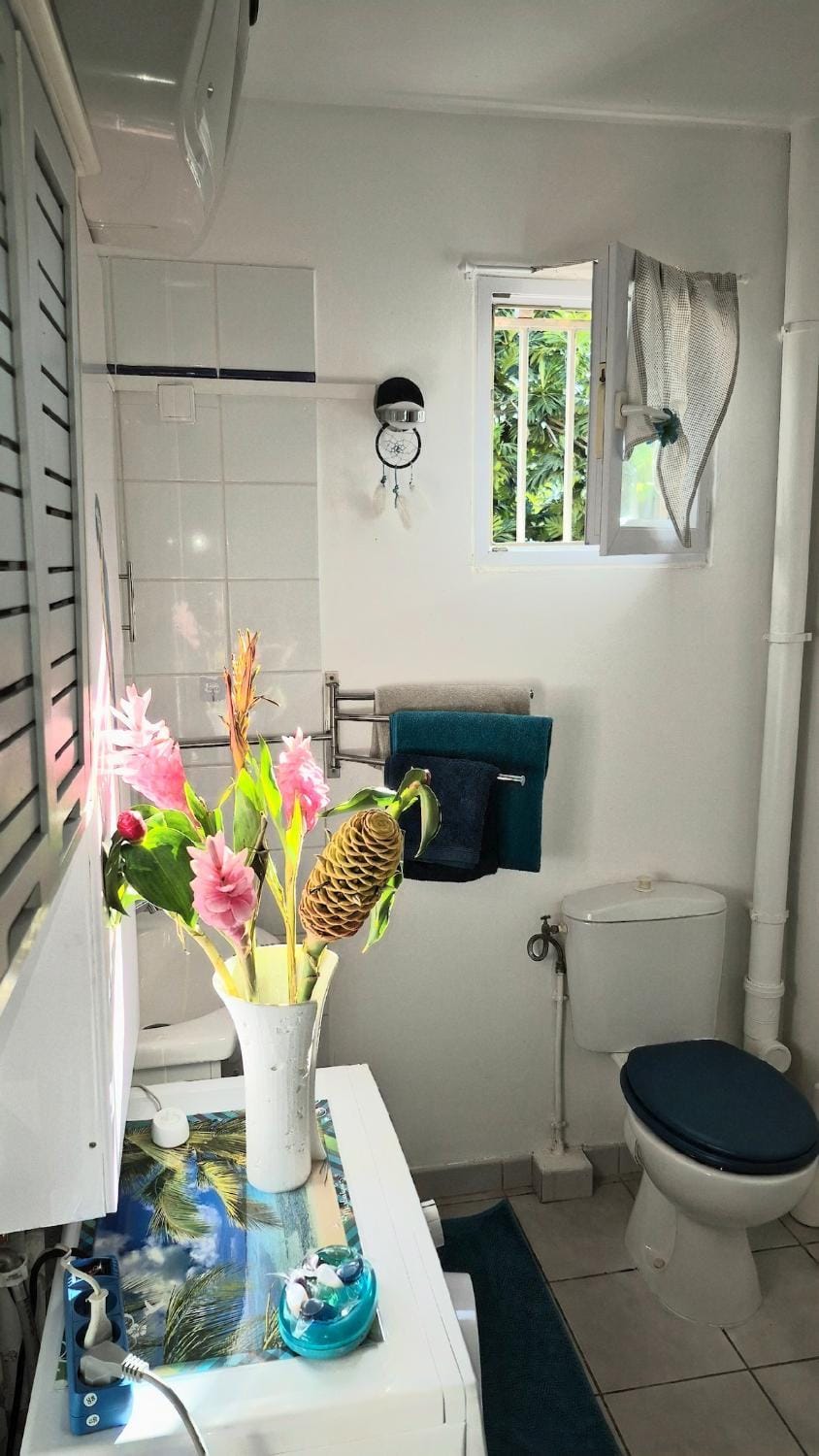 Toilet, Bathroom