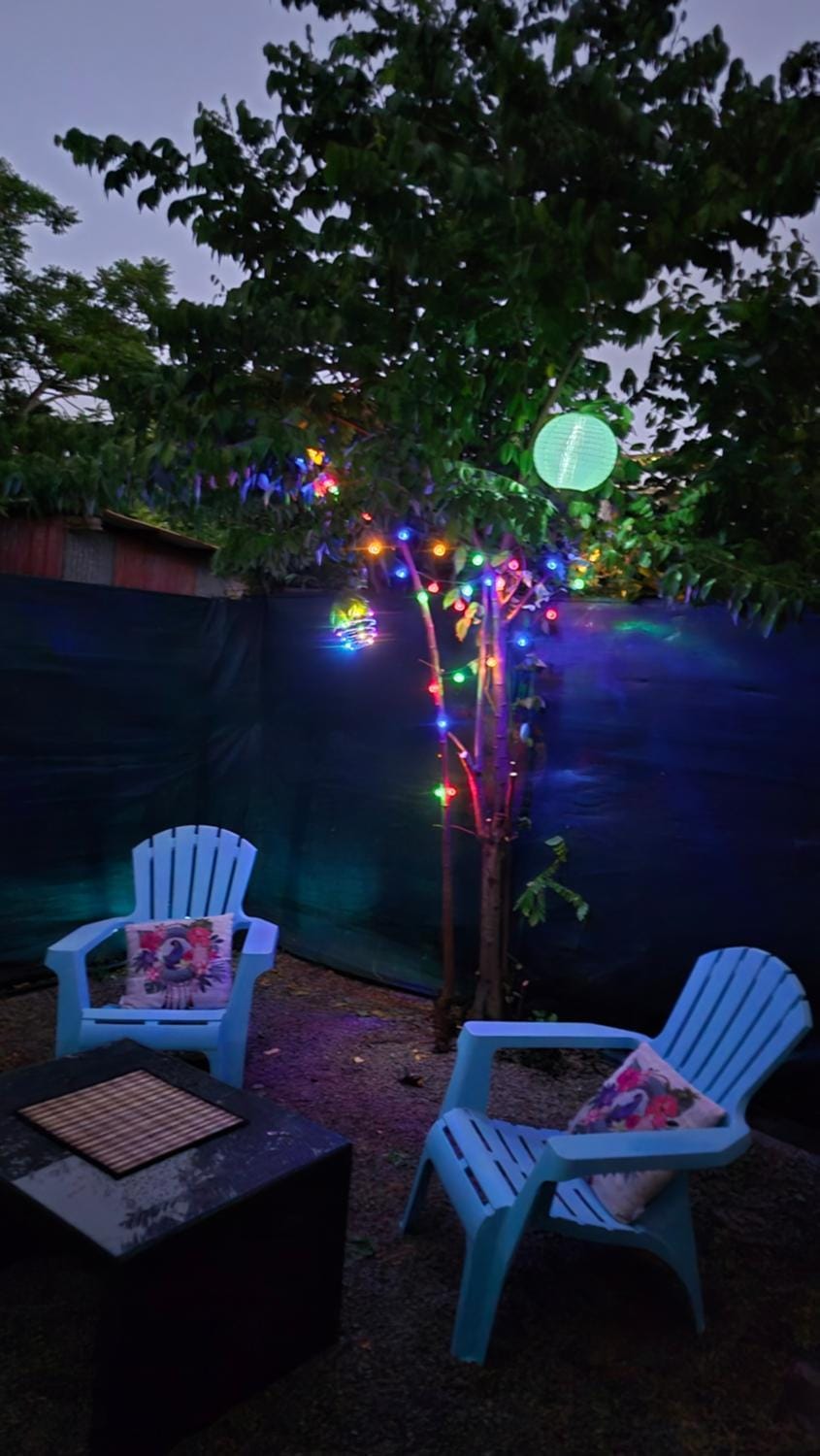 Night, Garden, Garden, Garden view