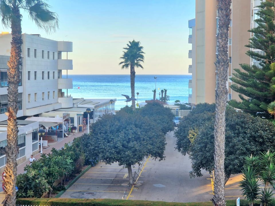Sea view