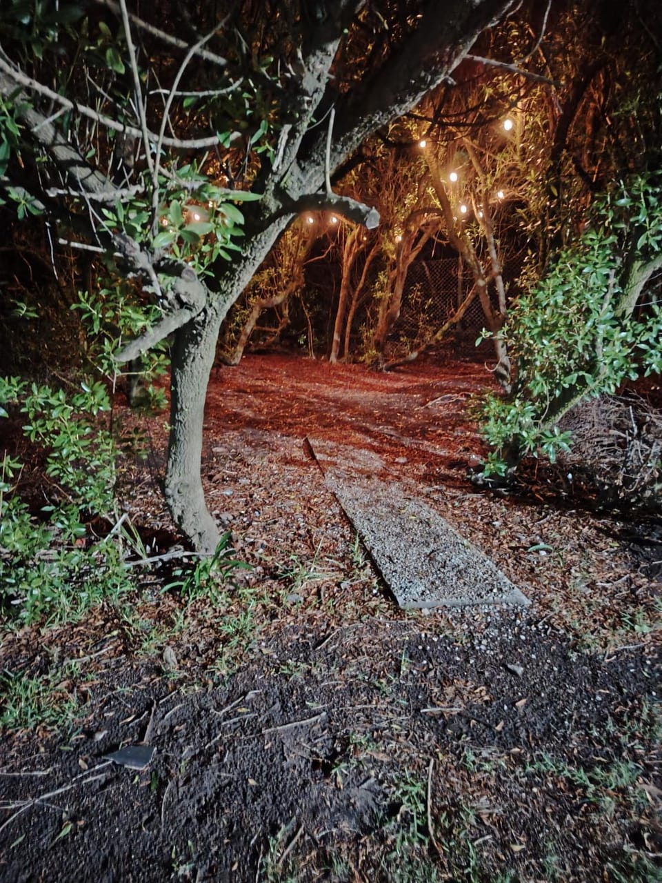 Night, Natural landscape