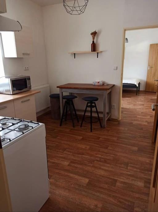 Zastávka v lázeňském trojúhelníku - apartmán 3 Apartment in Thuringia, Germany