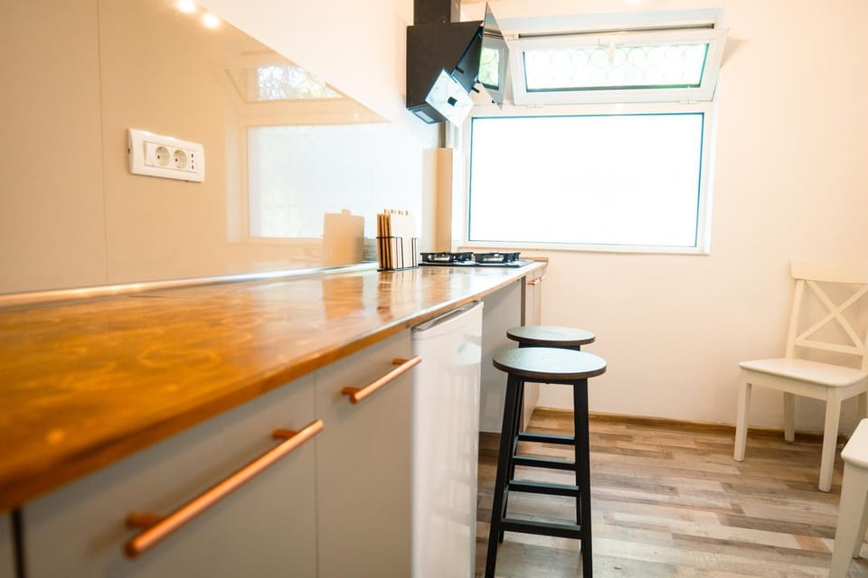 CosArt Studio Apartment in Bucharest