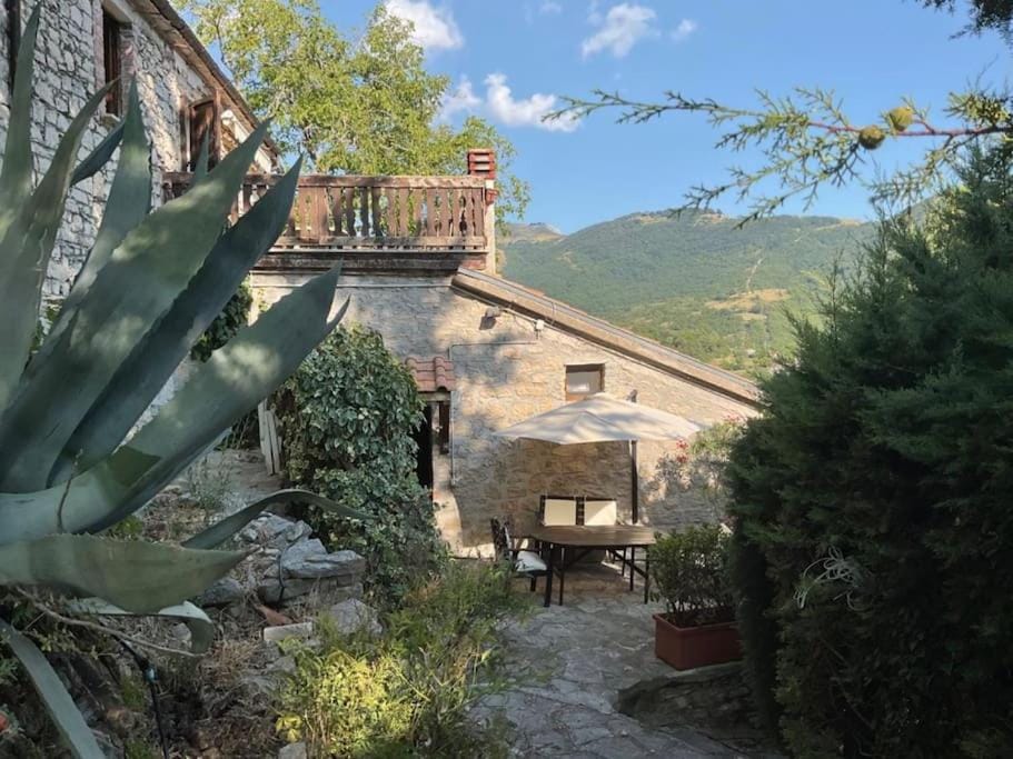 Property building, Garden view