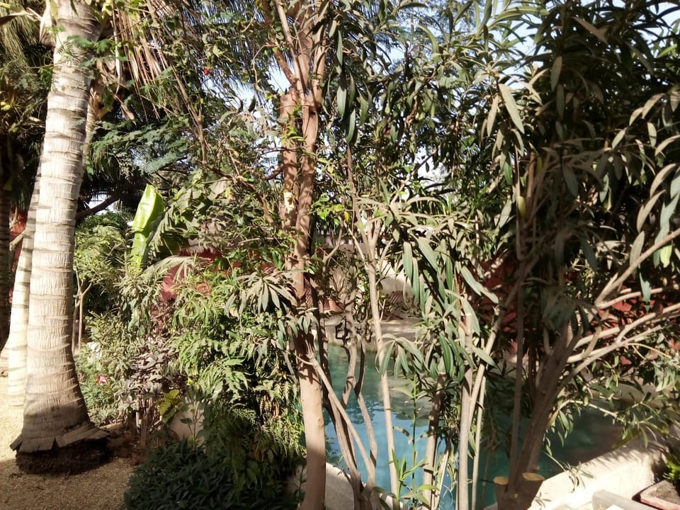 Pool view