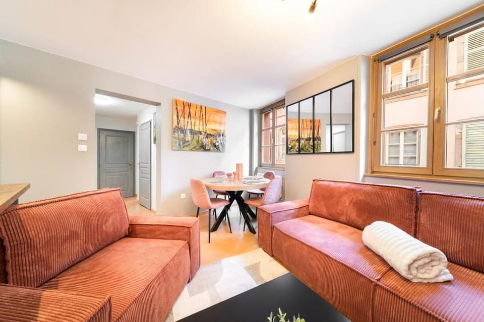 Le Roi Lion Colmar Centre parking gratuit Apartment in Colmar
