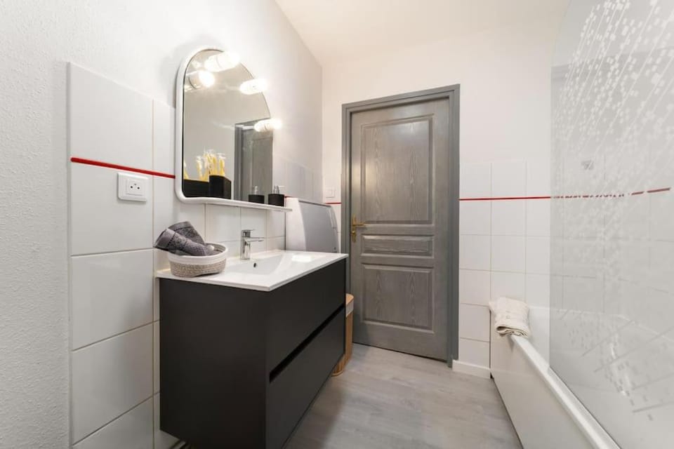 Le Roi Lion Colmar Centre parking gratuit Apartment in Colmar