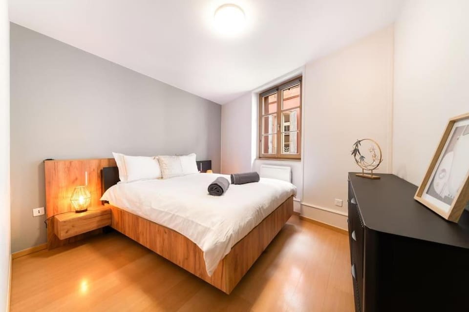 Le Roi Lion Colmar Centre parking gratuit Apartment in Colmar